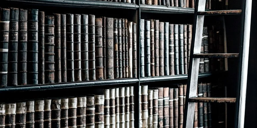 La por a la novel·la